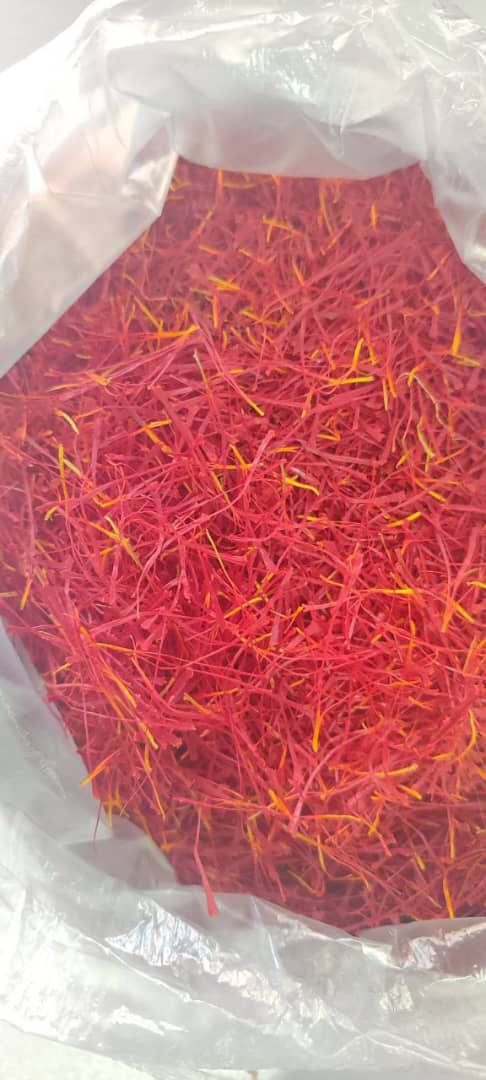 WhatsApp Image 2025-11-13 at 3.51.49 PM.jpeg